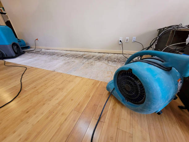 Professional Water Extraction technician working in Chico, CA